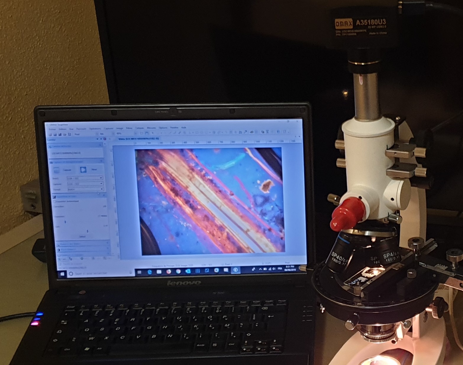 Microscopie optique &agrave; lumi&egrave;re polaris&eacute;e.