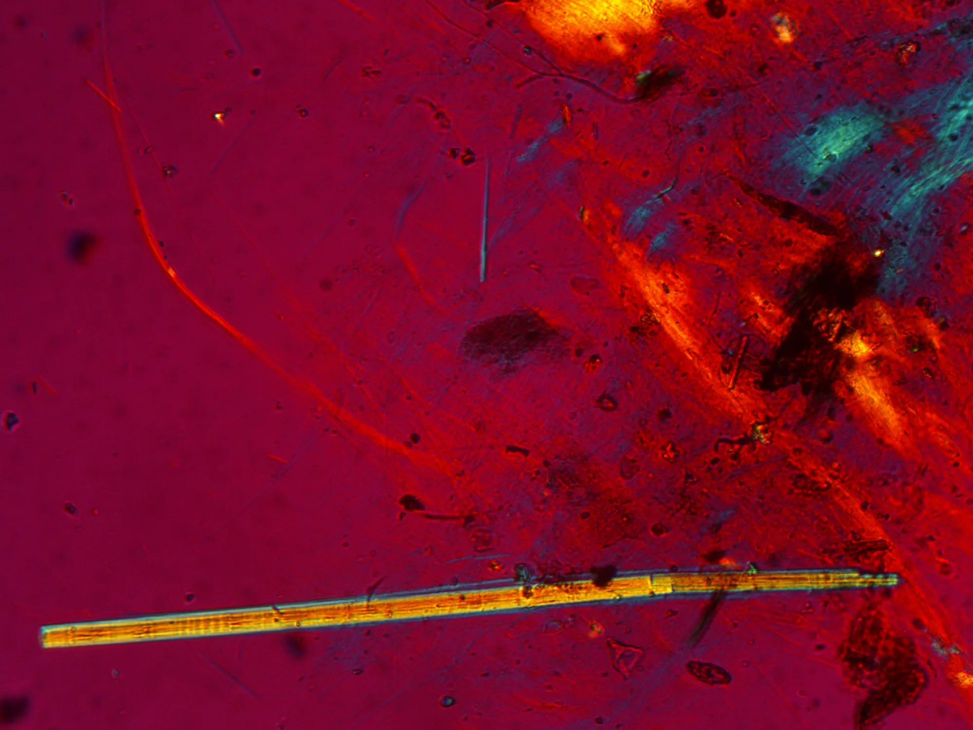 Caract&eacute;risation d'amiante par microscopie optique polarisante (MOLP).